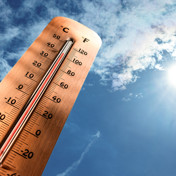 Bis zu 30 Grad: Jetzt kommt der Sommer