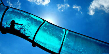 Dieser Sommer bricht (fast) alle Rekorde