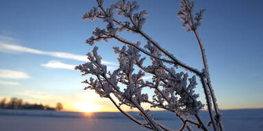 Diese Woche kommt Winter zur&uuml;ck