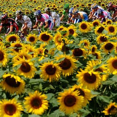 Tour de France 19. Etappe