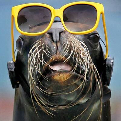 Totale Sonnenfinsternis