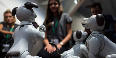 Sonys Roboterhund wohl bald in Europa