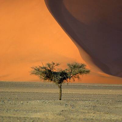 Die schönsten Naturschauspiele