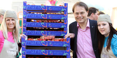 8,7 Tonnen: Mega-Obstsalat in Wien