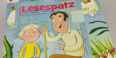 Tirol: So am&uuml;sieren sich Wahlbeisitzer