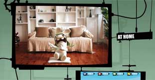 spiele-raving-rabbits