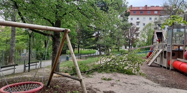 Alle Fotos: Sturm hinterlie&szlig; Spur der Verw&uuml;stung