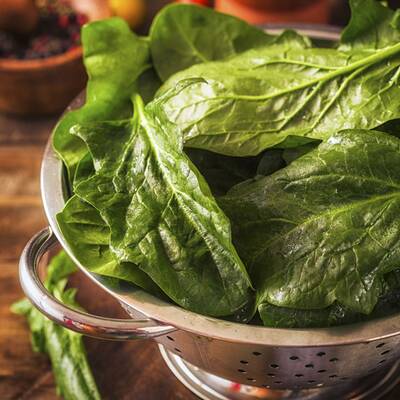 Austern haben einen hohen Anteil von Zink. Zink moduliert das bei Allergien fehlgeleitete Immunsystem.