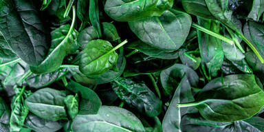 Ist Spinat-Aufw&auml;rmen wirklich gef&auml;hrlich?