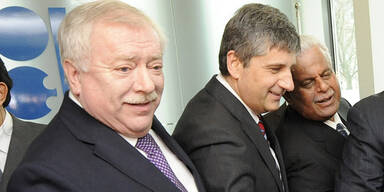 Spindelegger: Geheimtreffen mit Häupl