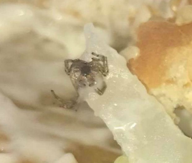 Ekel-Fund in McChicken-Burger