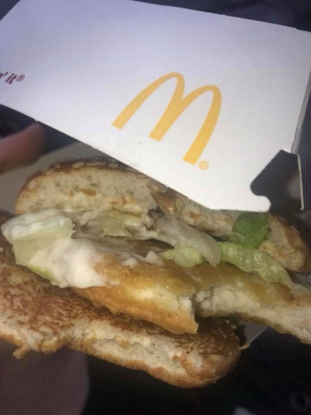 Ekel-Fund in McChicken-Burger