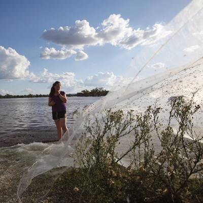 Millionen von Spinnen retten sich vor den Fluten rund um Wagga Wagga