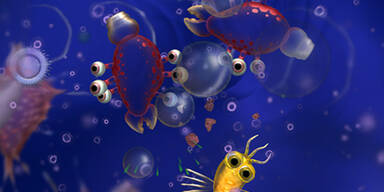 Spore: So spielt sich das Evolutions-Game