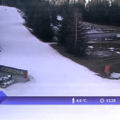 So grün ist derzeit Österreich