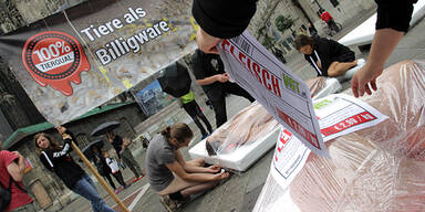 Nackt-Protest am Stephansplatz