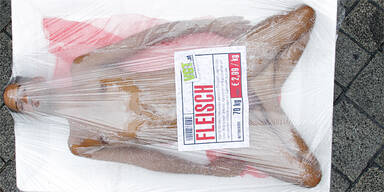 Nackt-Protest am Stephansplatz