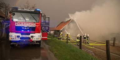 Blitz setzt Pferdestall in Brand