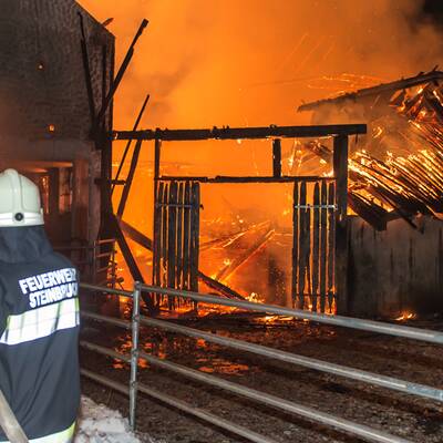 Brand vernichtet Stall: Tiere gerettet