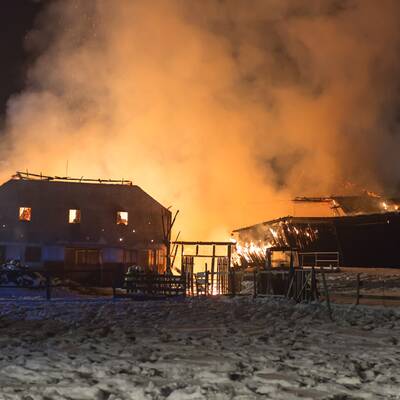 Brand vernichtet Stall: Tiere gerettet