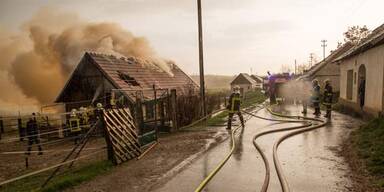 Blitz setzt Pferdestall in Brand