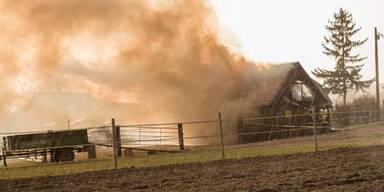 Blitz setzt Pferdestall in Brand