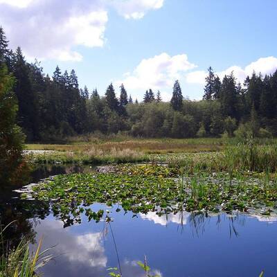 Tempelhofer Park, Berlin 