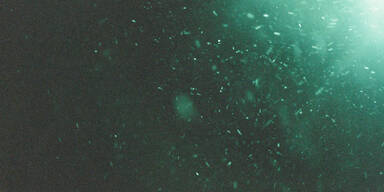 So erkennen Sie eine Hausstaub-Allergie