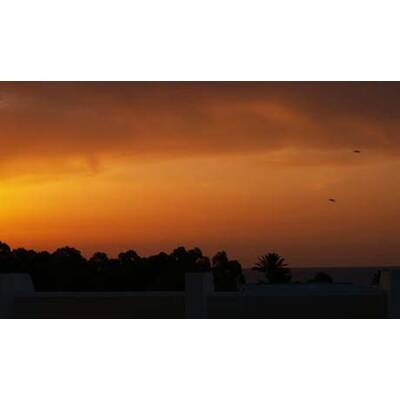 Die romantischsten Fotos