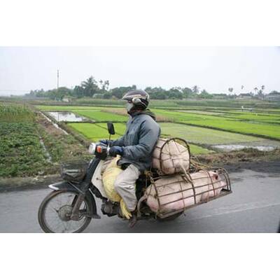 Alle lustigen Urlaubsfotos