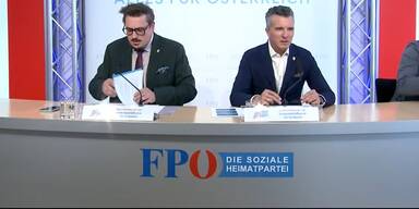 Steiner, Darmann