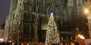 stephansdom_weihnachten