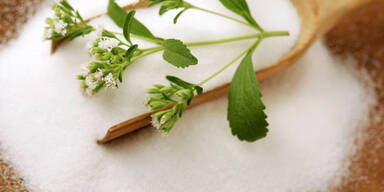 Stevia