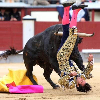 Stiere spießen alle Toreros auf