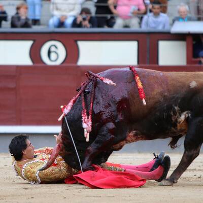 Stiere spießen alle Toreros auf