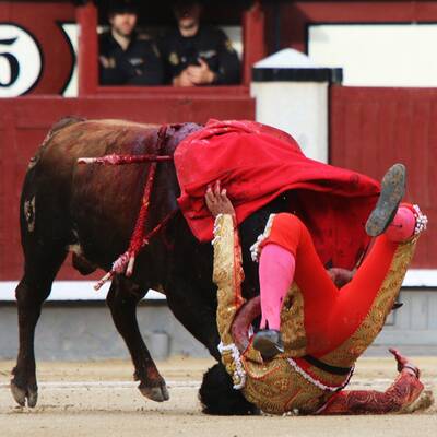 Stiere spießen alle Toreros auf