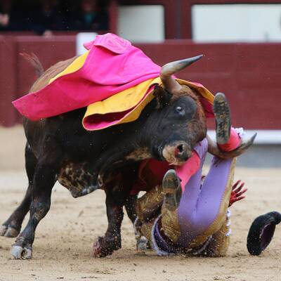 Stiere spießen alle Toreros auf