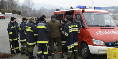 Zug erfasst Amok-Stier tödlich