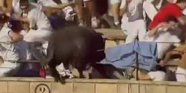 40 Verletzte nach 10-Meter-Stier-Sprung