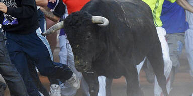 Betrunkener bei Fest von Stier getötet