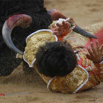 Blutiges Treiben in der Arena