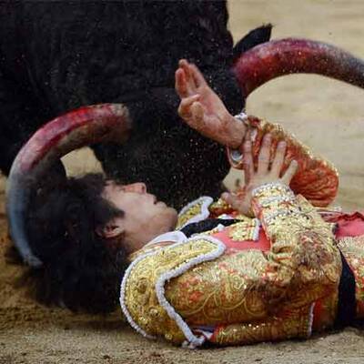 Blutiges Treiben in der Arena