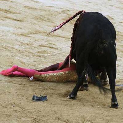 Blutiges Treiben in der Arena