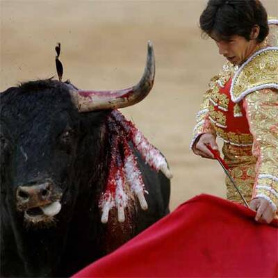 Blutiges Treiben in der Arena