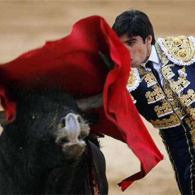 Blutiges Treiben in der Arena