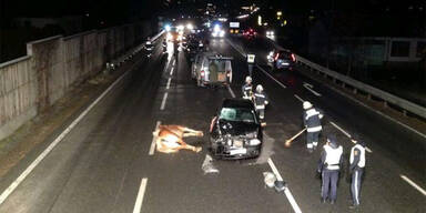 Ausgebüxte Pferde verursachten Unfall