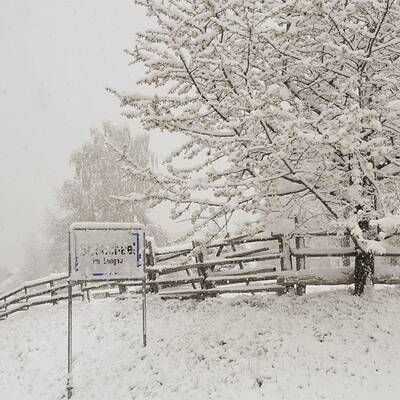 Blick über den Irrsee (OÖ) 