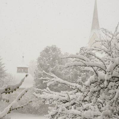 Blick über den Irrsee (OÖ) 
