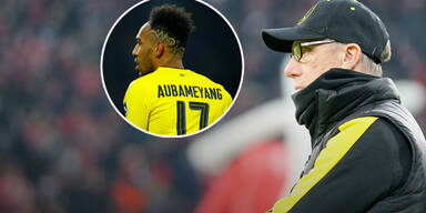 Das plant Stöger mit Aubameyang