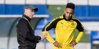 'Auba'-Transfer? Jetzt spricht Stöger